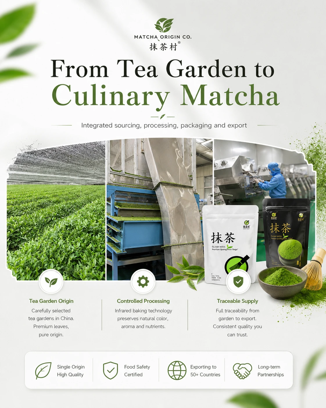 Culinary matcha supply chain from tea garden to finished product