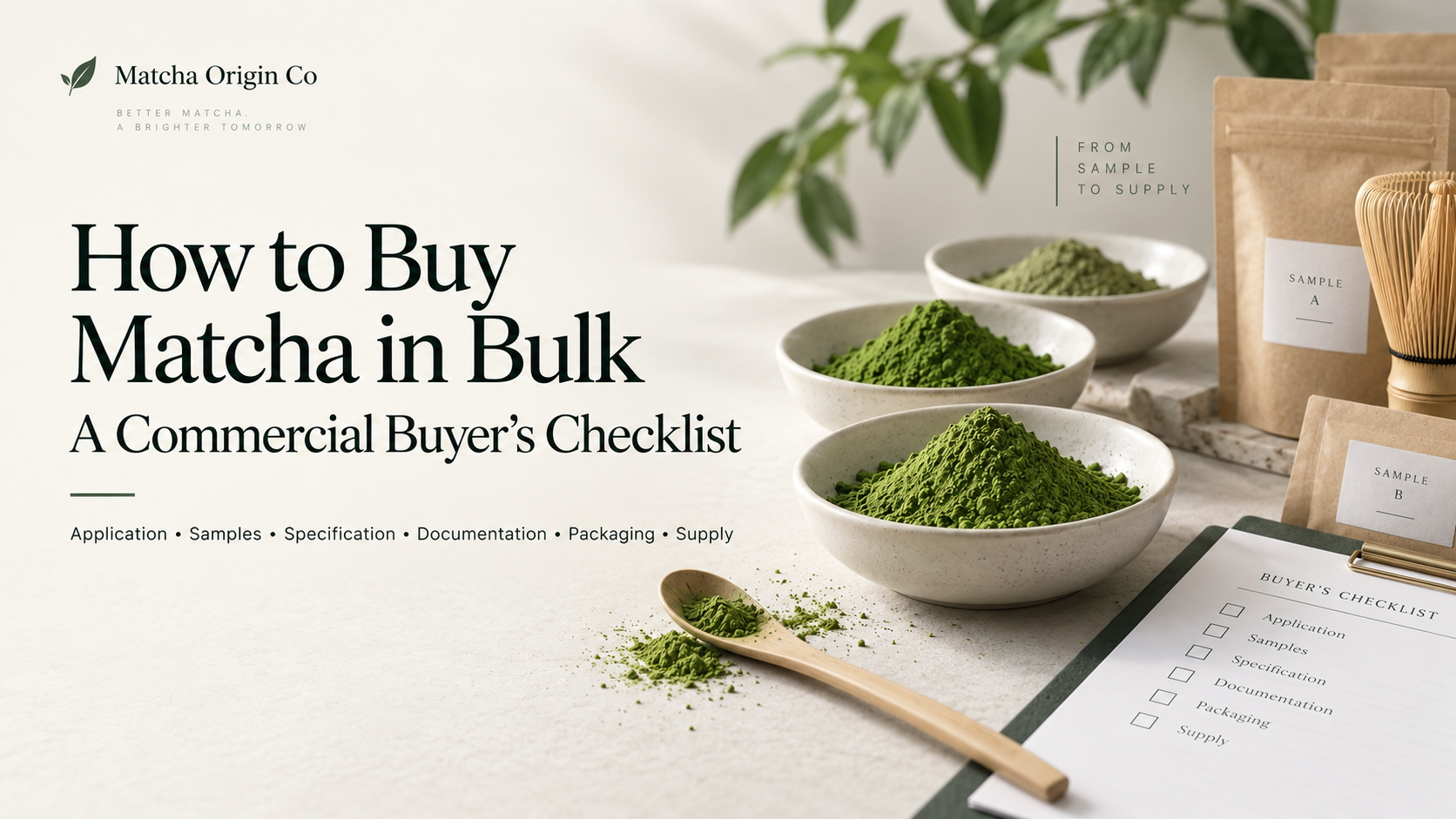 How to Buy Matcha Powder in Bulk: A B2B Buyer’s Guide